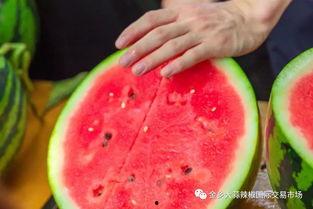 大学吃瓜元年,揭秘校园风云录