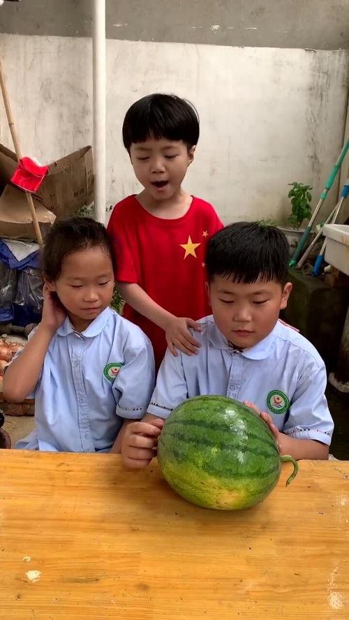 和姐妹吃瓜,娱乐圈幕后故事一网打尽