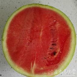 感冒可以吃籽瓜,感冒期间的天然食疗佳品