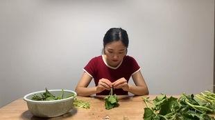 摘瓜比吃瓜更爽吗什么意思,比吃瓜更令人愉悦的惊喜之旅