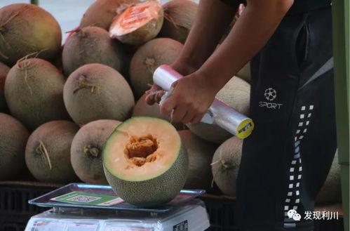 吃瓜小能手瓜哥,瓜哥带你领略娱乐圈风云变幻